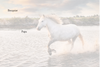 Cartes de Remerciements <br> Décès " Cheval "