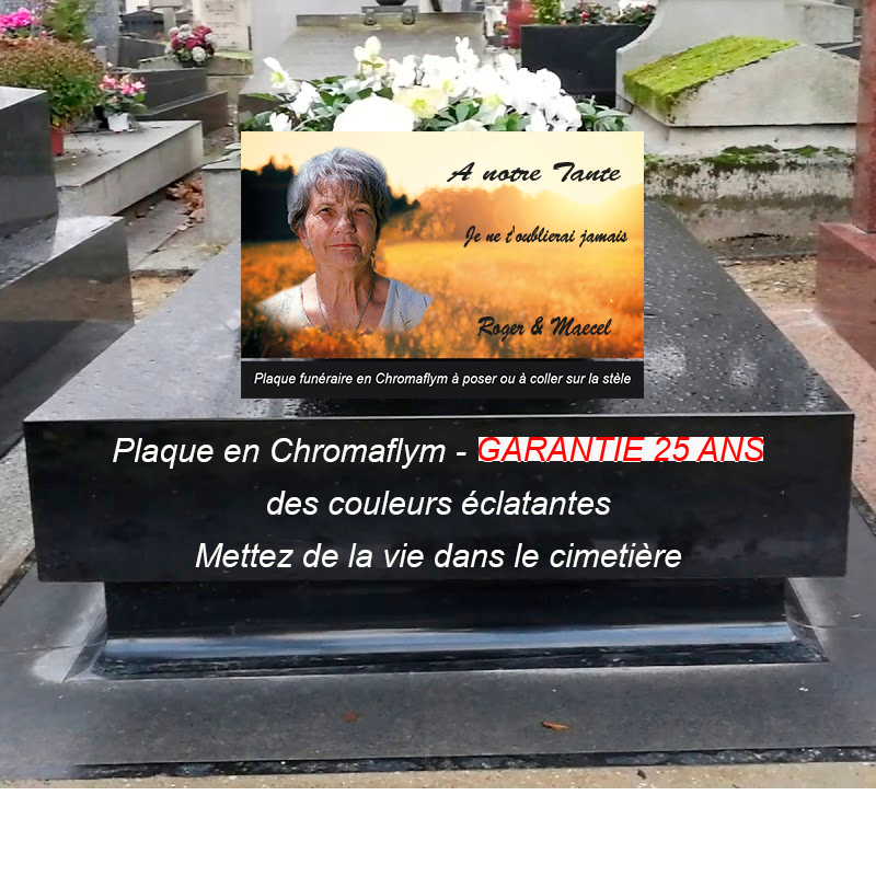 plaque funéraire prairie ensoleillée pour tombe avec photo