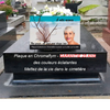 Plaque funéraire coquillage et plage | Modèle plaque funéraire avec photo | La boutique des petits anges™