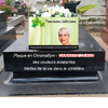 plaque funéraire moderne avec photo trèfle 4 feuilles | La boutique des petits anges™