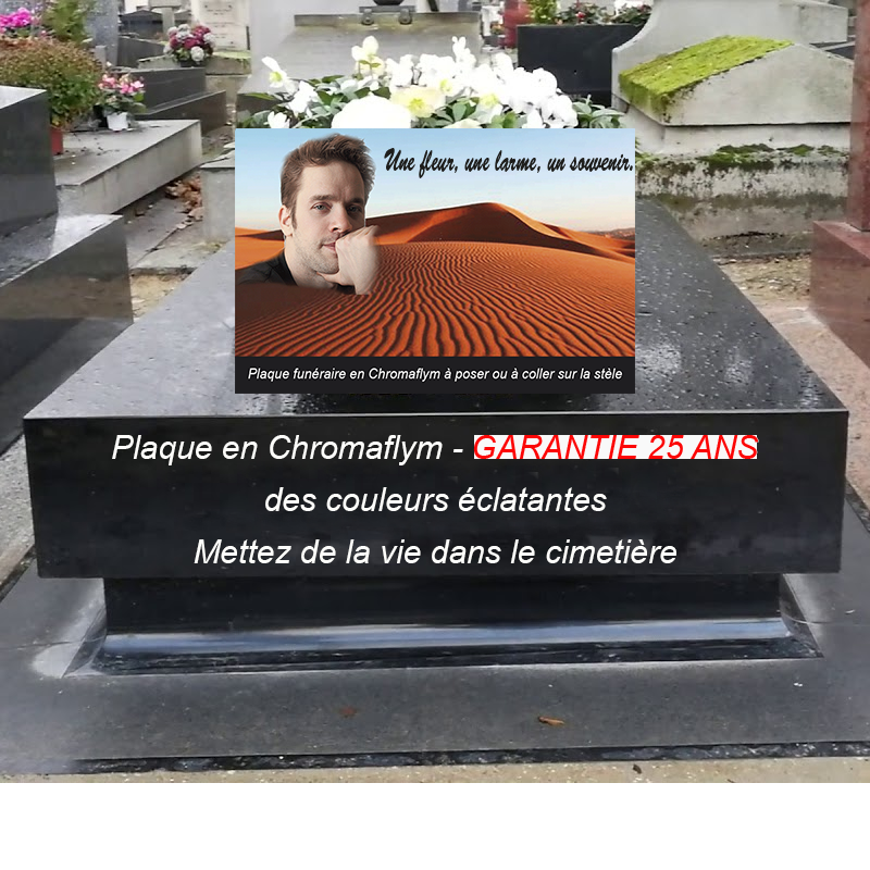 plaque funéraire papa désert pour tombe avec photo