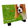 Plaque funéraire représentant un Cavalier King Charles